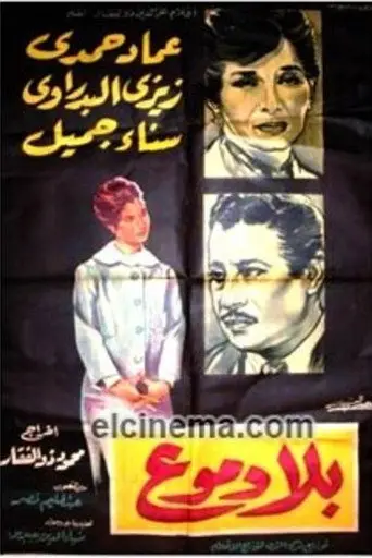 بلا دموع